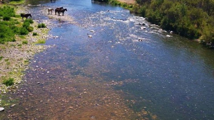 Captan el río Aconcagua con caudal aún cuando hace un par de días estaba seco