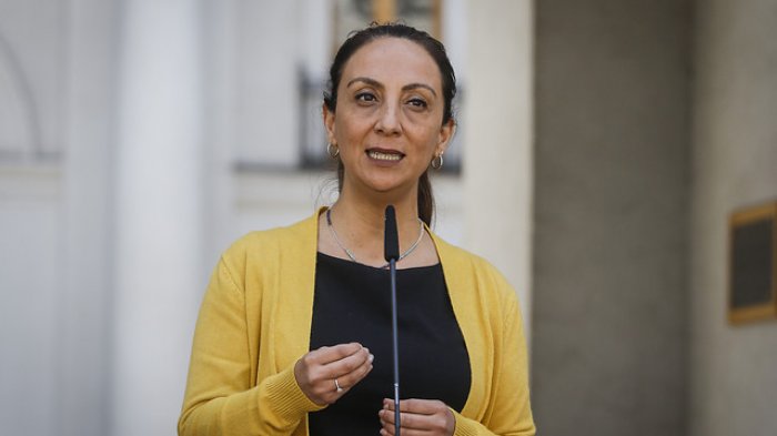 Vocera de Gobierno asegura que ningún ministro ha puesto su cargo a disposición del Presidente