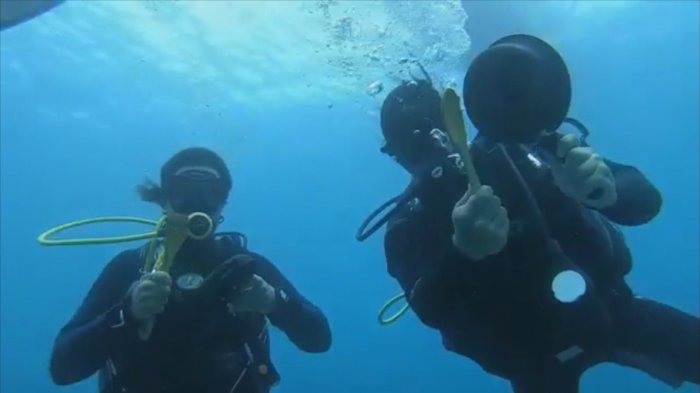 Buzos llevan el caceroleo bajo el mar en Isla de Pascua