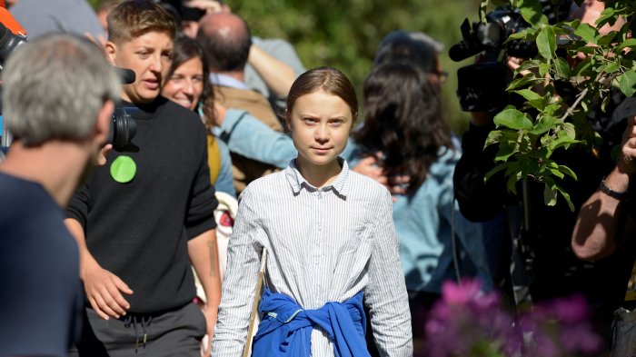 Greta Thunberg pide ayuda para asistir a la COP25 en Madrid: 