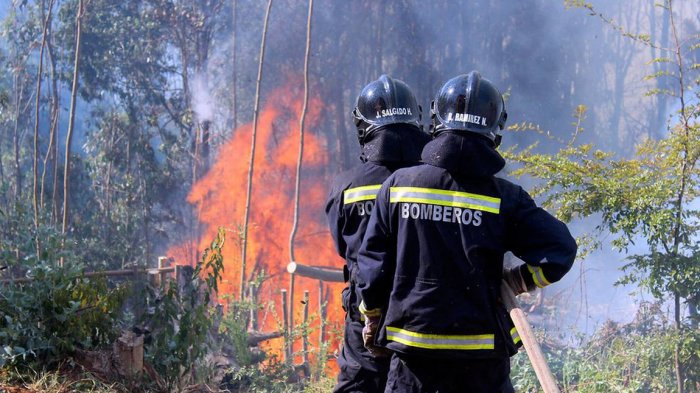 Por amenaza de incendio forestal declaran Alerta Temprana Preventiva para la RM
