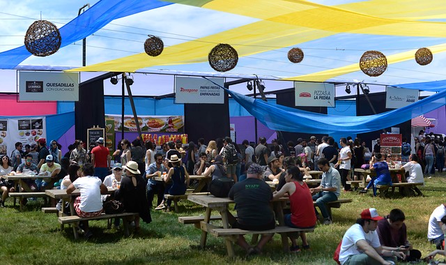 Donará el 20% de sus ganancias a la Cruz Roja: Festival 