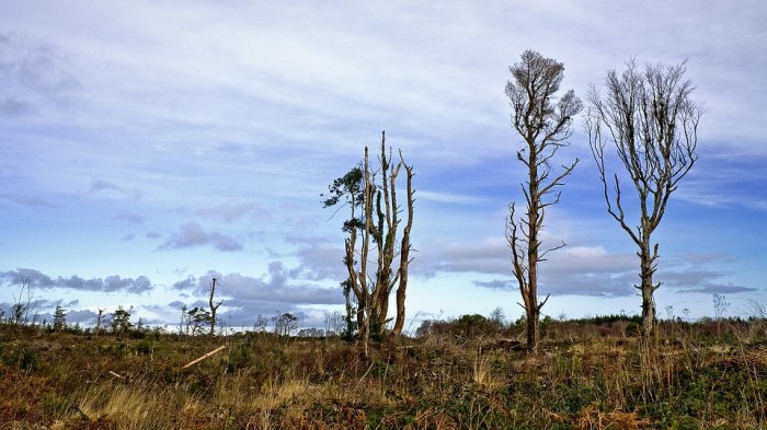 ¡Y más encima! La NASA revela que la actividad humana está secando el Amazonas