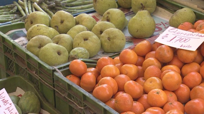 27% de la población chilena no puede pagar una dieta saludable