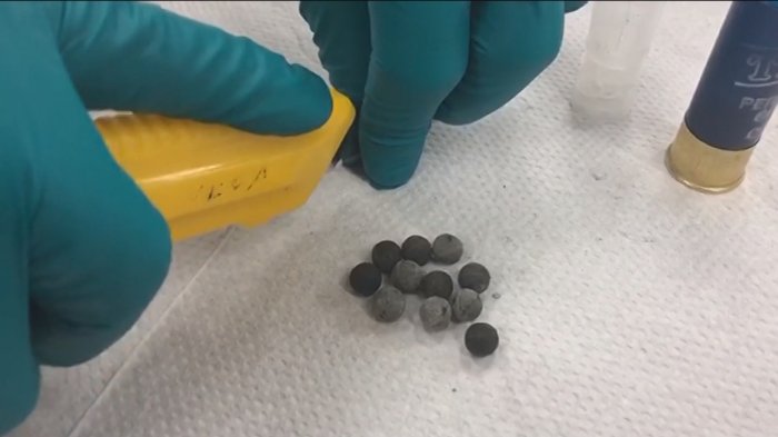 Investigan posible fraude en compra de balines por parte de Carabineros