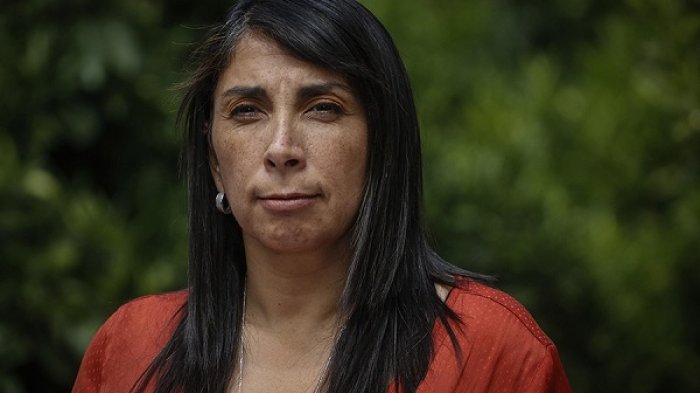 Rubilar afirma que comunicado de FF.AA. sobre informe de Amnistía 