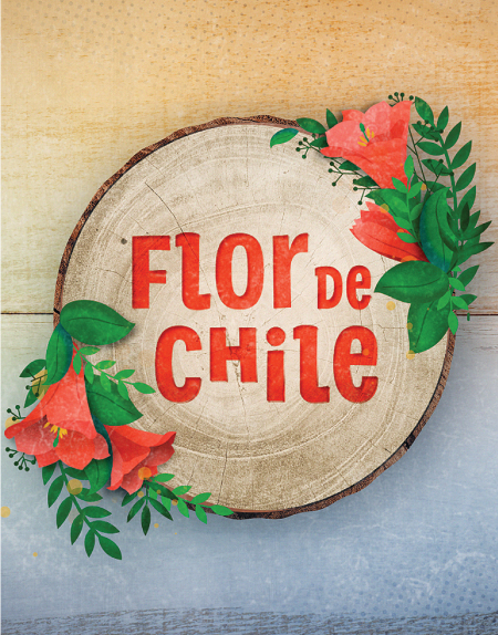 Programa - Chilevisión - Flor de Chile