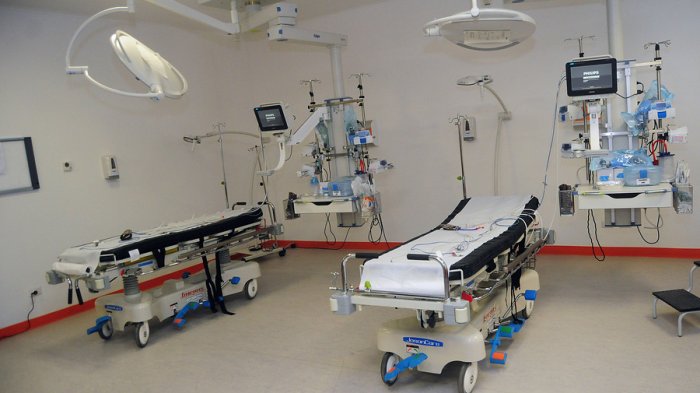 2019 consigue récord histórico de donación de órganos: Hubo más de 500 trasplantes