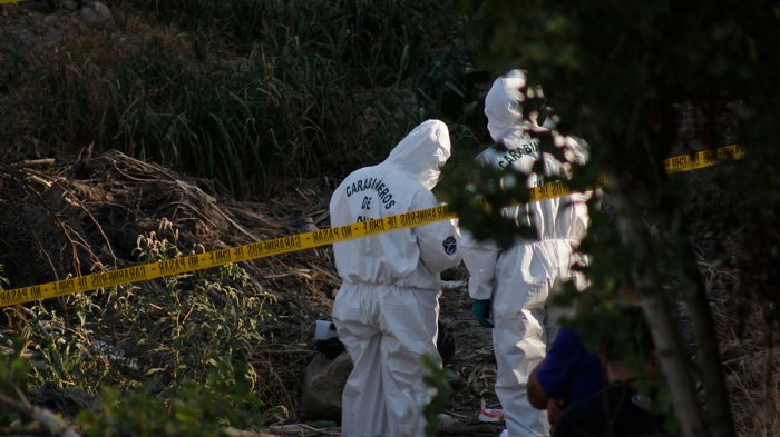 Hombre asesinó a su pareja y luego se suicidó en la Región del Maule