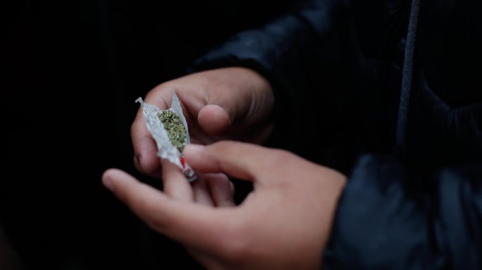 Encuesta del Senda revela que disminuye consumo de marihuana por primera vez desde 2010