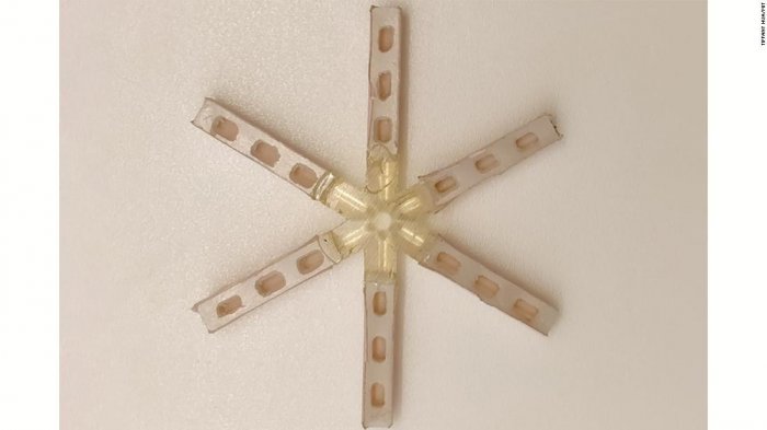 Científicos del MIT avanzan en creación de pastilla anticonceptiva femenina que se toma una vez al mes