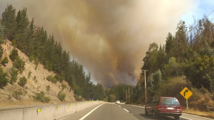 Alerta roja en Valparaíso por incendio forestal en localidad de Placilla