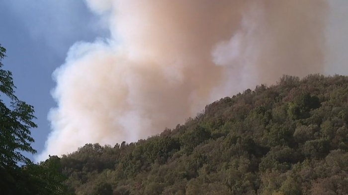 Incendio forestal en El Peralillo lleva dos viviendas destruidas y tres con daños