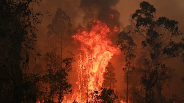 Australia declara estado de emergencia en Nueva Gales del Sur por peligrosos focos de incendio