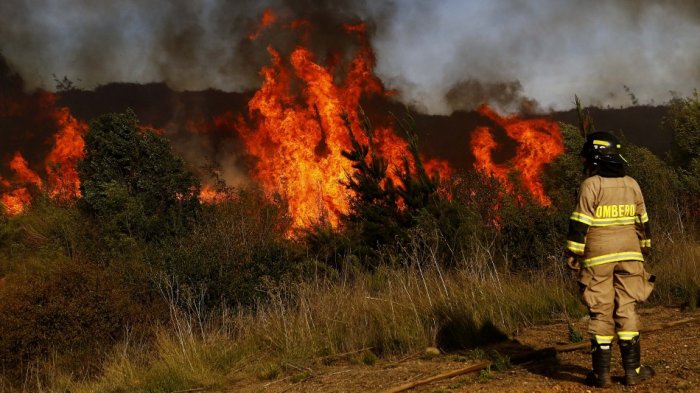 Incendios forestales: Ministro Walker indica que ha aumentado la intencionalidad de los incendios