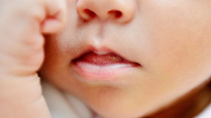 Autoridades visitan a la primera bebé nacida en el año 2020