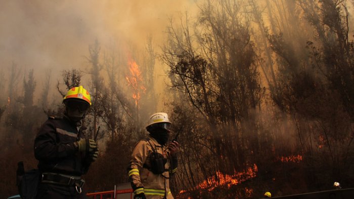 Alerta Roja para la comuna de Chillán Viejo por incendios forestales