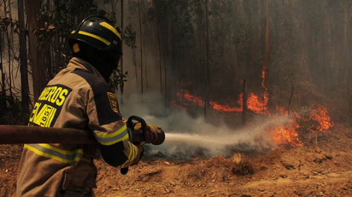 Onemi decreta Alerta Roja para la comuna de Laja por incendios forestales