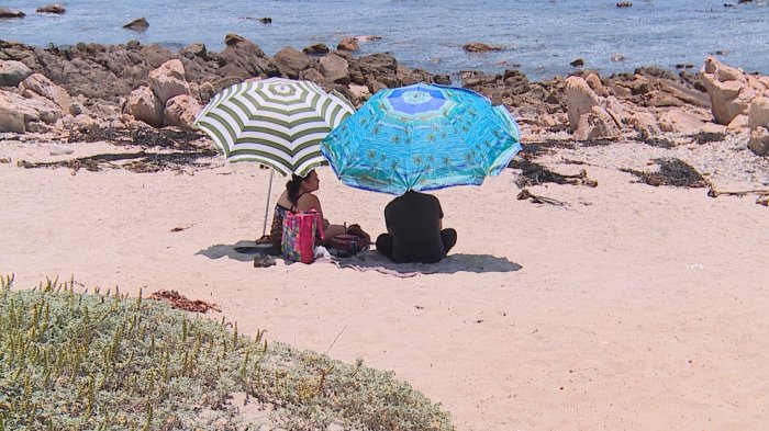 Denuncian cobro por ingresar a playa Las Salinas en El Tabo