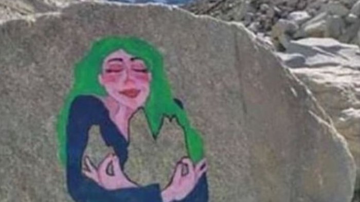 Turista que pintó roca en Torres del Paine ofreció disculpas a 