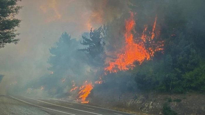 40 hectáreas consumidas por el fuego en Quillón: Nuevo foco de incendio azota a la región de Ñuble