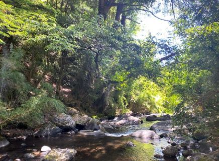 Imagen foto_00000001