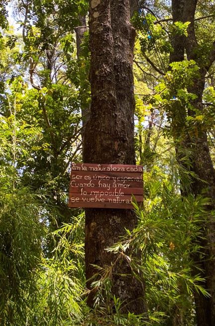 Imagen foto_00000003