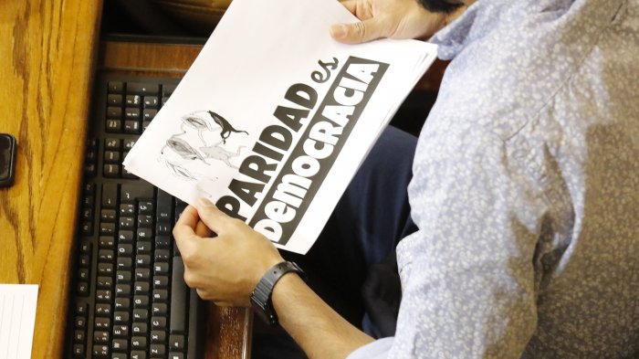 Cámara Alta aprobó en general (y por unanimidad) la paridad de género en el proceso constituyente