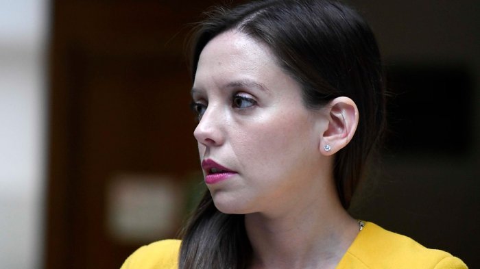 Camila Flores propone crear catálogo de enfermedades con fechas y plazos para acabar con listas de espera