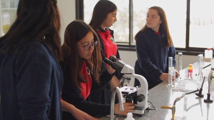 Reduciendo la brecha de género: Implementarán una nueva hoja de ruta para las mujeres en la ciencia