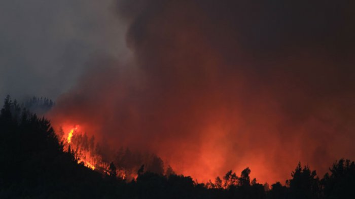 105 denuncias y 5 formalizados: Fiscalía busca responsables por incendios forestales en La Araucanía