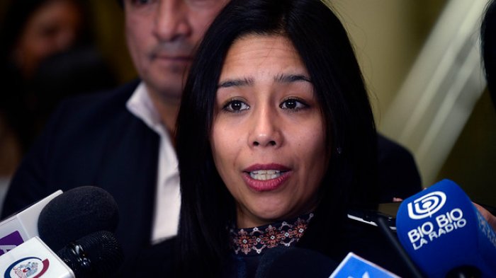 Acogen a tramitación solicitud de desafuero contra diputada Leuquén por episodio en restaurante