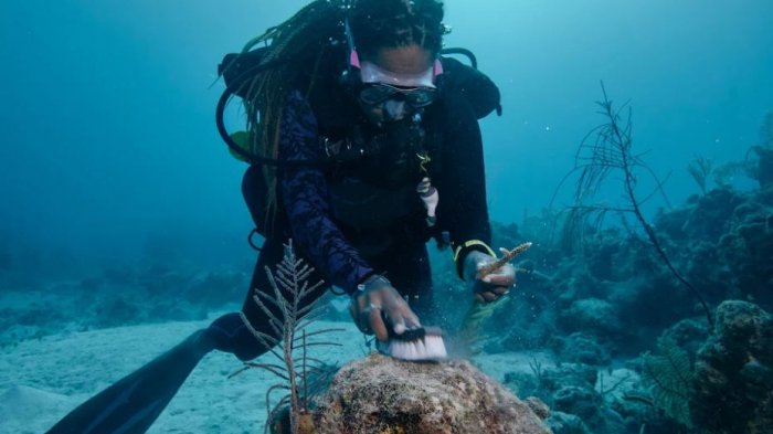 Airbnb ofrece un sabático para chilenos en las Bahamas (entérate aquí cómo postular)