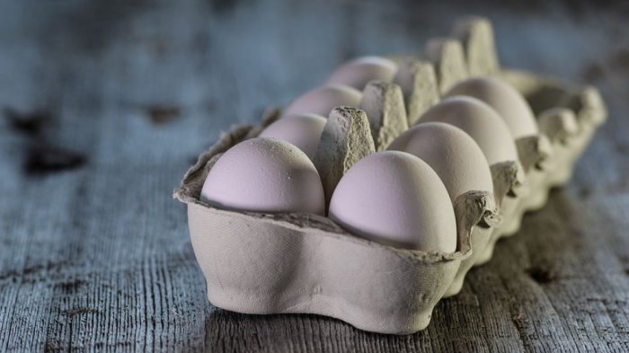 Preocupación por aumento de intoxicación por salmonella: Sólo en enero hubo 53 casos