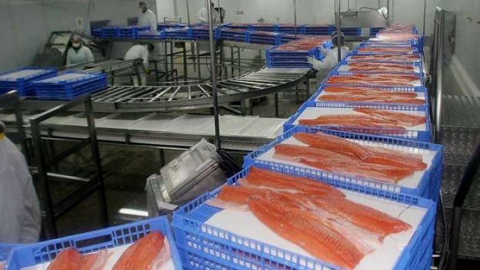 Suspenden envíos de salmón de Chile a China por aumento de casos de coronavirus