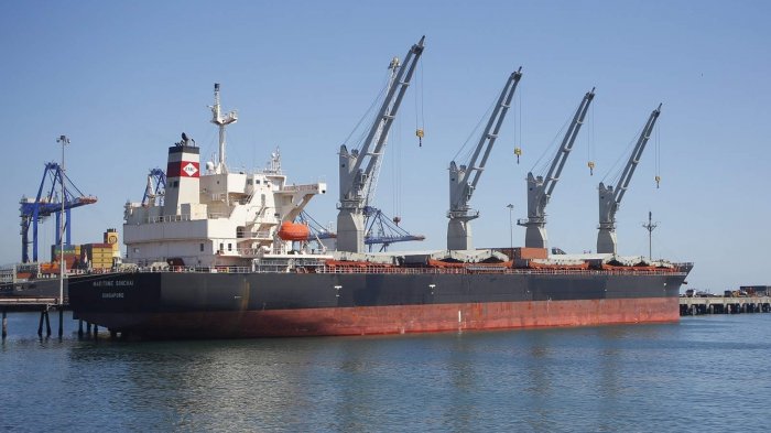 Embarcación china arribó en Coronel: Autoridades descartaron presencia de coronavirus