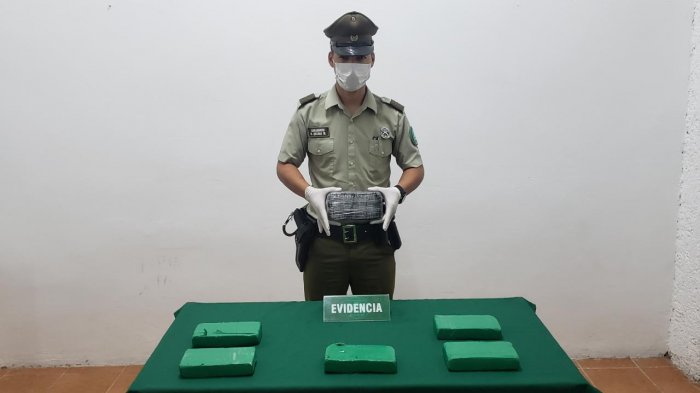 Ya van 124 detenidos en 2020: Carabineros bloqueó cadena de transporte de drogas que viajaba a Santiago