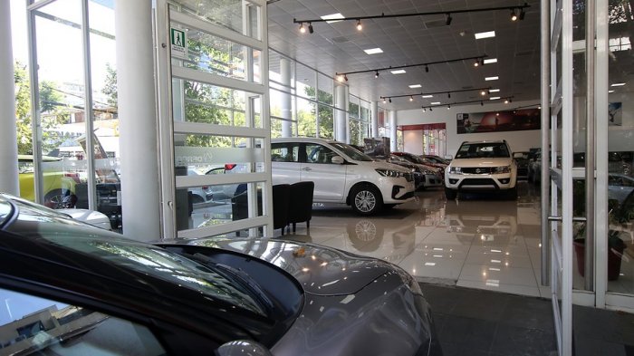 Informe Autofact: Aumentó el parque automotriz en 2019 pero disminuyó la venta de autos nuevos