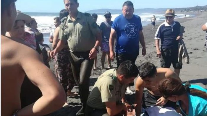 Carabineros de Constitución colabora en rescate de dos niños que se ahogaban en el mar