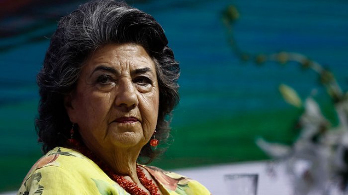 Reginato por eventuales manifestaciones en Viña 2020: 