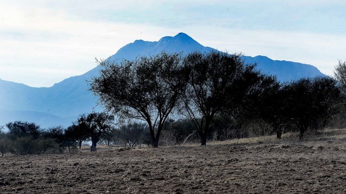 Vivir sin agua: Alcalde de San Javier pide que se declare “emergencia hídrica” en la comuna