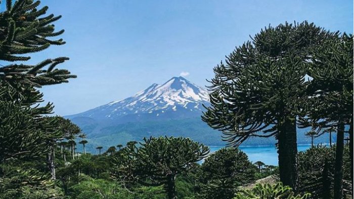 Cierran senderos del Parque Nacional Conguillio por riesgo de incendios forestales