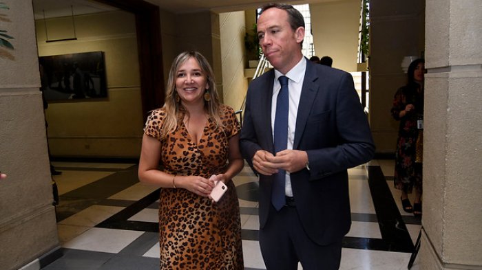 Diputados UDI buscan que quienes 