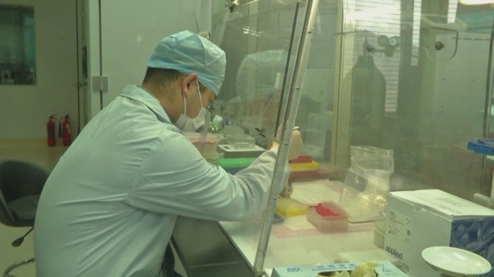 Décimo caso de coronavirus en Chile: Tiene 14 años y vive en la Región Metropolitana