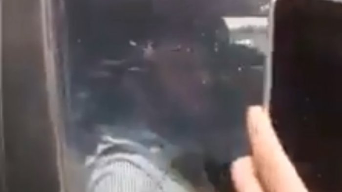 Funan a Sebastián Izquierdo mientras salía de un supermercado en Peñaflor