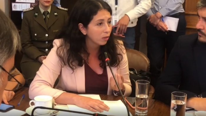 Yeomans se quebró ante Mario Rozas en Comisión de Seguridad: 