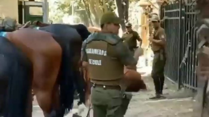 Indignación por video de carabinero golpeando a un caballo: Organizaciones animalistas presentarán querella