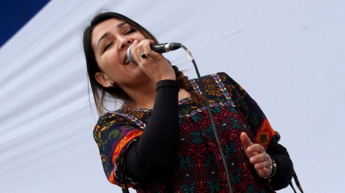 Denisse Malebrán implora que no se pida la devolución de entradas a eventos postergados de artistas chilenos