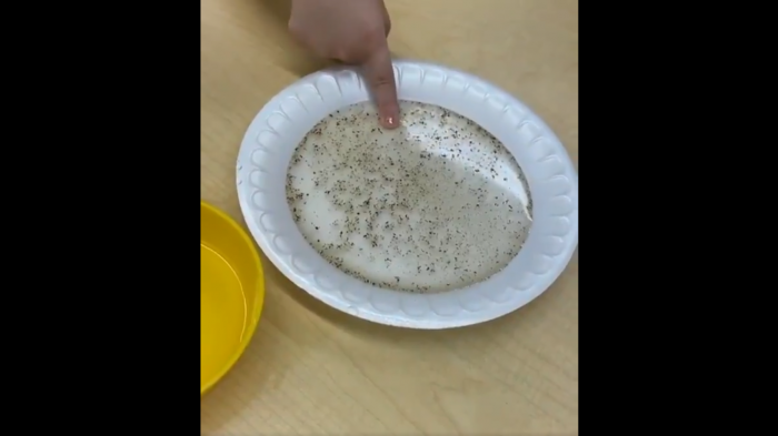 Video explica con ingredientes de cocina la importancia de lavarse las manos con jabón para enfrentar al coronavirus