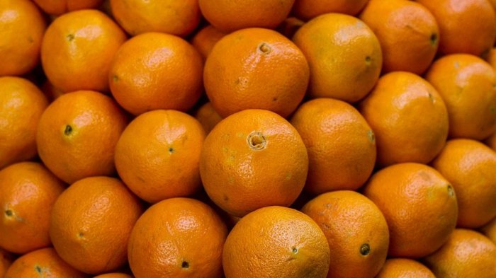 Ante falta de vacunas y antivirales: Cómo reforzar el sistema inmunológico para prevenir el COVID-19